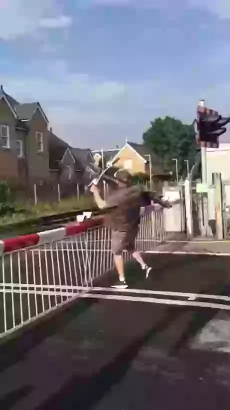 How To Be Stupid Perfect Example Here