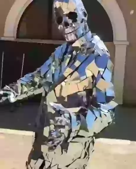 Have you Seen This Mirror Guy Before