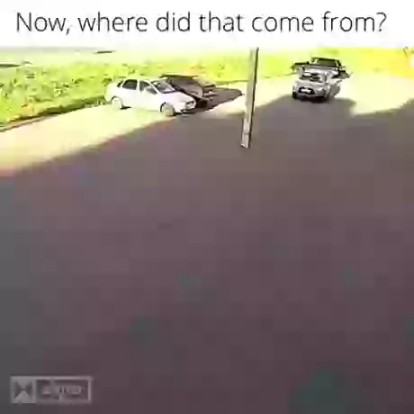 How To Drive Like Dumb Real Example