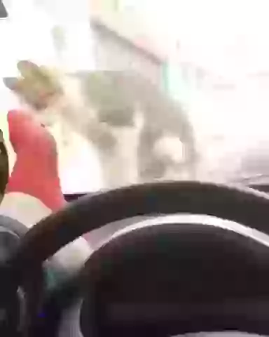 Instant Karma Instant Regret Funny Fail Video