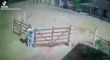 Life is real struggle watch it funny video