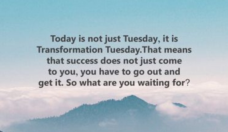 Tuesday Motivations and Tuesday vibes