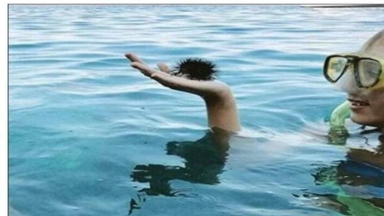 Amazing image illusion