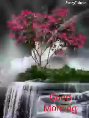 Amazing Animated Whatsapp GIF For Good Morning