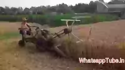 Amazing Cutter Machine For Farms