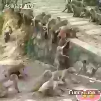 Bahubali 2 War Video Leaked Before release