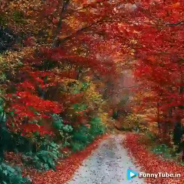 Beautiul Morning With Beautiful GIF