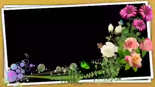 Best Good Morning Whatsapp Video Download