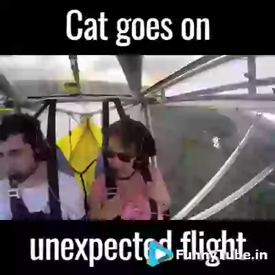 Cat In Flight Funny GIF
