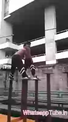 Chines Dragon Pratice