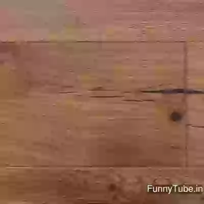 Daily useful tricks interesting video