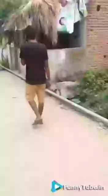 Dont ever tease an animal funny video