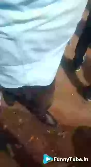 Dulha On Camel Funny Fail Baraat Video