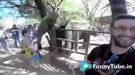 Enjoy Moment Instead Filming Funny GIF