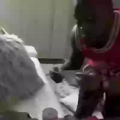 Extreme Crazy Friend Mood