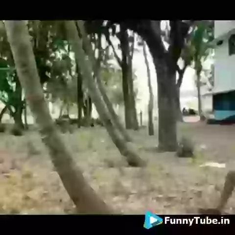 Funniest Desi Stunt Fail LOL Desi Funny Video