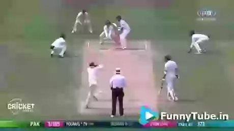 Funny Cricket Nutshell Compilation