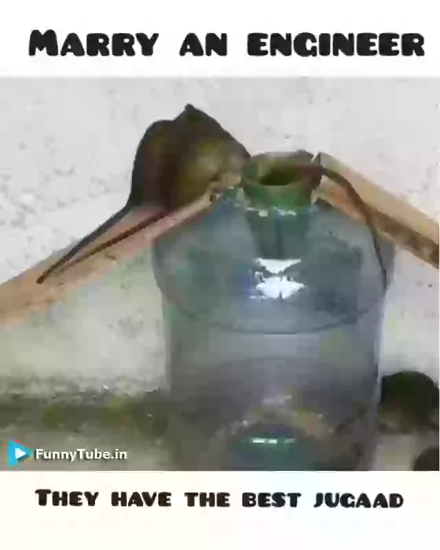 Funny Desi Jugad Video Mega Mouse Trap