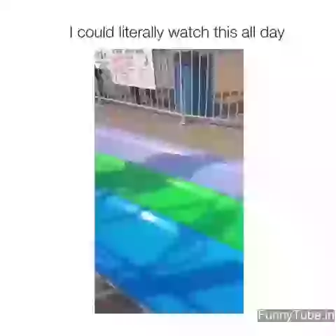 Funny Puppy In the water park