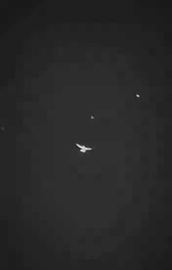 Do not buy flag love the nation