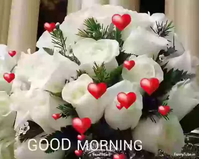 Good Morning Beautiful Roses GIF