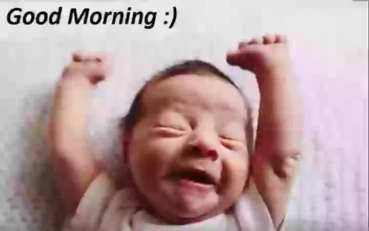 Good Morning Friends For Whatsapp