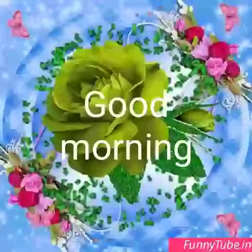 Good Morning GIF Have Colourful Morning