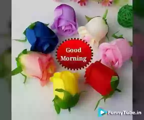 Good Morning God Bless