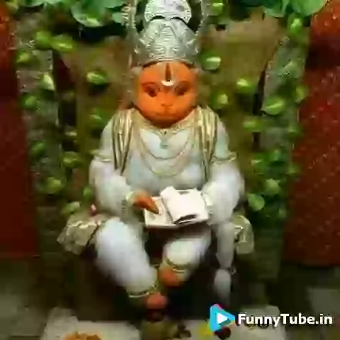 Good Morning Happy Tuesday Video