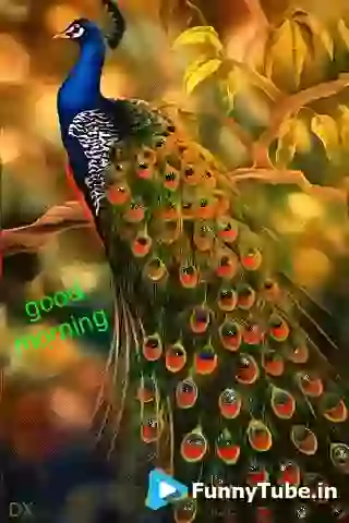 Good Morning Have Pleasing Day GIF