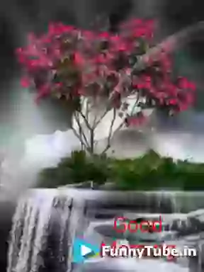 Good Morning Lovely Animated GIF