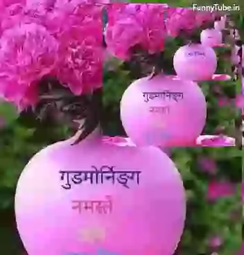 Good Morning Namaste India GIF