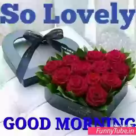 Good Morning Punjabi Whatsapp Video