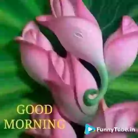 Good Morning Shree Ganesh Arti