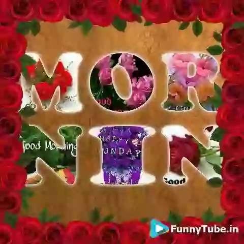 Good Morning Status Video