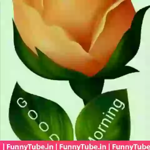 Good Morning Tumhi Ho Mata Video Song