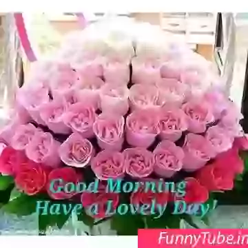 Good Morning Wallpaper With Good Morning Thought