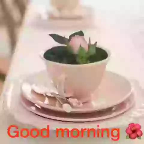 Good Morning Whatsapp Greeting GIF