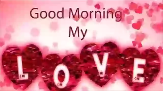 Good Morning Whatsapp Status Video Status Free Download