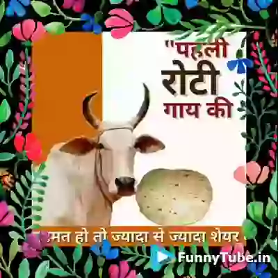 Good Morning Whatsapp Video