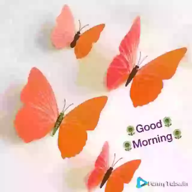 Good Morning Wish For Whatsapp Status GIF