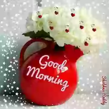 Good Morning Wish Video For Love