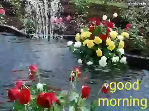 Good Morning Wonderful GIF