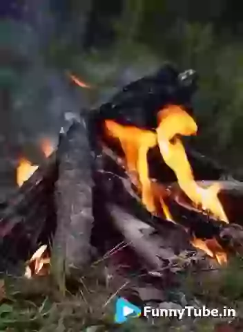 Good Night GIF Fire For Winter