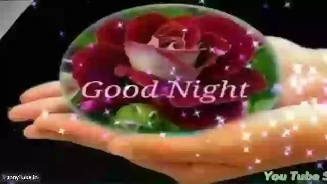 Good Night Video Whatsapp Status Download