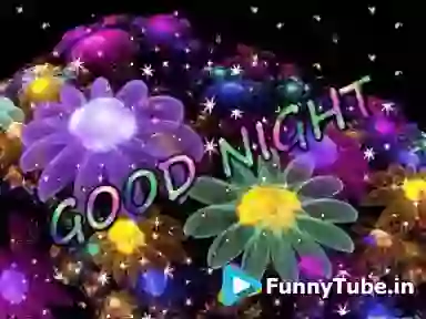 Good Night Whatsapp GIF