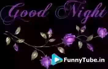 Good Night Wish GIF