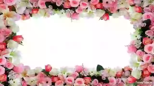 Good Night Wishes Messages And Shayari Video