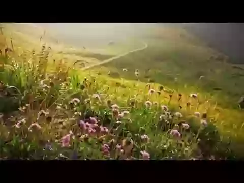 Good night video clip download