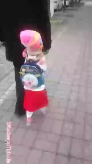 Grate Trained Dog Walking